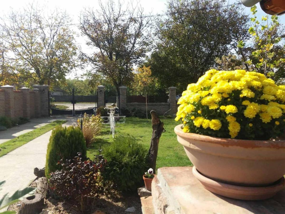Rita Apartman & Studio زرنيانين المظهر الخارجي الصورة