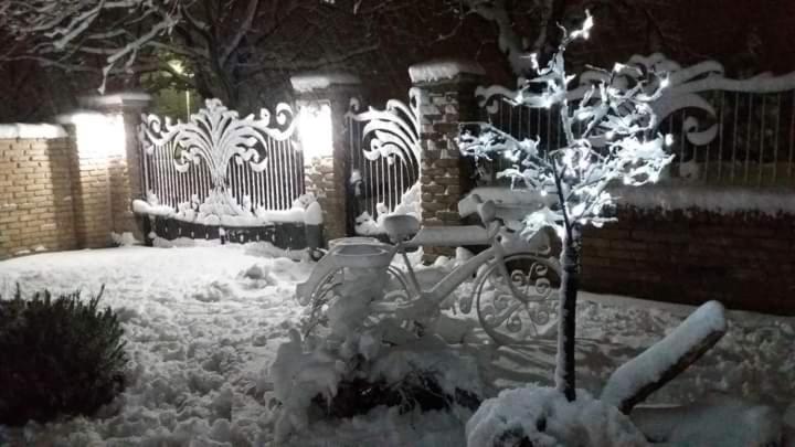 Rita Apartman & Studio زرنيانين المظهر الخارجي الصورة